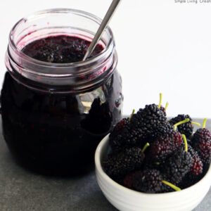 Mulberry Jam - 500g