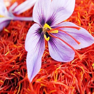 Cardiovascular disease: Saffron's antioxidant, anti-inflammatory, and hypolipidemic properties may help prevent or treat cardiovascular diseases. Ocular diseases: Saffron may help with age-related macular degeneration, diabetic retinopathy, glaucoma, and retinitis pigmentosa. Neurodegenerative diseases: Saffron may help treat Alzheimer's disease and Parkinson's disease. Memory and cognitive function: Saffron's antioxidants may support brain health, memory, and learning. Blood pressure: Saffron's antioxidants may help lower blood pressure. Sleep quality: Saffron may help improve sleep quality. PMS symptoms: Saffron may help reduce PMS symptoms. Libido: Saffron may help with sexual dysfunction in both men and women. Skin: Saffron can be used in a face mask to hydrate the skin and create a glowing complexion. Saffron can also help remove tan by lightening and brightening the skin. Immune system: Saffron is a rich source of riboflavin, a B vitamin that helps maintain a healthy immune system. Cancer: Saffron's antioxidants may have anticancer and antitumor effects. 